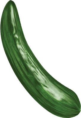 خیار شور